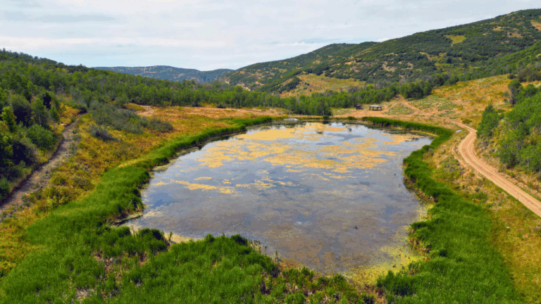 Life in Coalville, Utah: Nature, Solitude, and Adventure